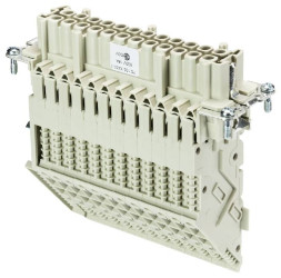 Adapter wielopolowy 70.105.2453.3 Wieland Electric Łączna ilość styków 24 10 szt.