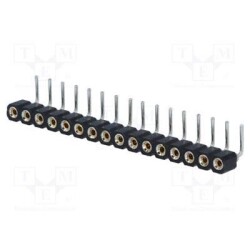 DS1002-01-1X16R13