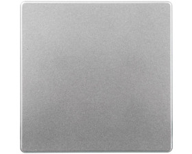 Q.1/Q.3 Klawisz do łącznika 1-klawiszowego, alu aksamit lakierowany 16206084