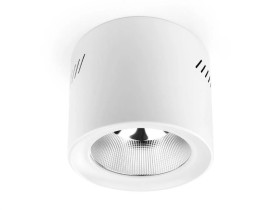 Downlight Natynkowy LED Phoenice 20W 3000-5700K IP64 Philips Driver