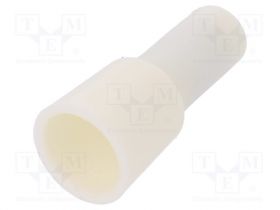 CE1-V0