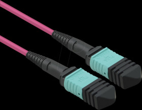 21991103 Fibre-optic cable, MPO, OM4, 50/125 µm, violet, 10 m