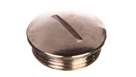 Zaślepka Mosiężna M25 Ip54 Skindicht Bl-M 25X1,5 52103130