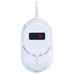 Czujnik czadu i gazu CTLG-08 240V F&F