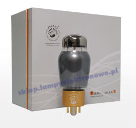 CV181TII PSVANE Gold