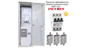 Rozdzielnica Licznikowa Tauron Na Elewacje Zk1e-1P Lakier Uv Incobex