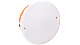 Puszka Do Pustych Ścian Śr. 120Mm, Rozgałęźna E815 83189008