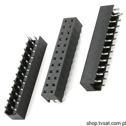 91813-124 Socket 2 x 12 Pin THT BERG