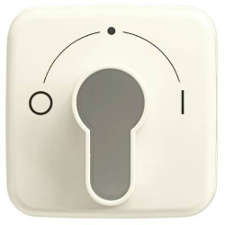 Przełącznik kluczykowy, Przycisk kluczykowy Zaślepka Busch-Jaeger Duro 2000 SI 2CKA001710A1340, biały, kremowo-biały