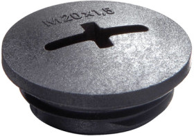 Locking screw, Ø 46 mm, M40, black, 10061835