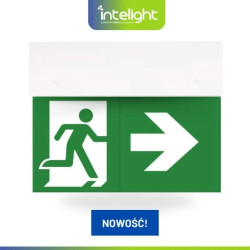 Oprawa ewakuacyjna DIRECTO S M 1H MT + (VD3, VD4, VD5 x 2) / 90281