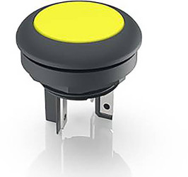 RAFI 1.15.210.101/2401 1.15.210.101/2401 Przycisk podświetlany 35 V 0.1 A chwilowy (D x S x W) 23.5 x 23.5 x 22.3 mm 1 s