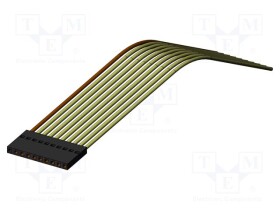 IGN-43371
