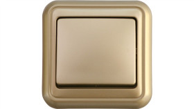 Liza Łącznik Jednobiegunowy Złoty 6Wpt-1