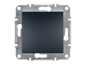 ASFORA Zaślepka bez ramki antracyt EPH5600171 SCHNEIDER ELECTRIC