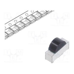 55PT12-21B/TR8