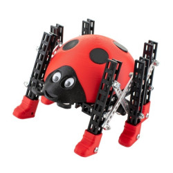 Zestaw do budowy zdalnie sterowanego robota - Totem Maker Ladybug