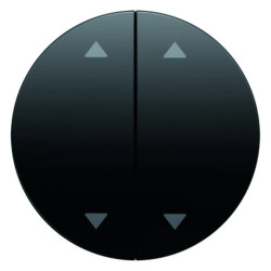 Klawisze z nadrukiem symbolu calistrzałkicali Berker R.1/R.3 czarny połysk 16442045