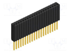 BLM.LG.1.20.G