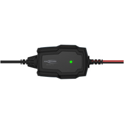 Ansmann 1001-0142-44 Lead Acid Battery Charger 6-12V/1A UK