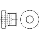 Korek gwintowany TOOLCRAFT 1061756 M30 DIN 908 50 szt.