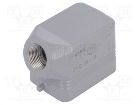 CHO06L13