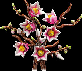 11510 LEGO® Botanicals - Magnolia Branches
