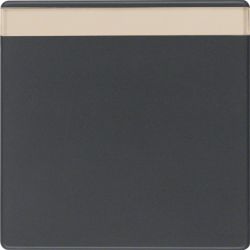 Klawisz z p. opis. łącz. 1-kl., antracyt, aks
