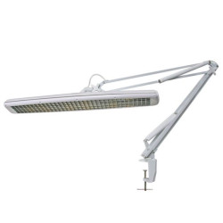 VTLAMP6