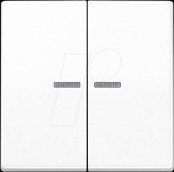 BTAS17102WW Bluetooth pushbutton, dual, alpine white