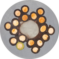 Control Cable liczba żył 12 1 mm² Nieekranowany Igus 17 A średnica zew 12.5mm Szary