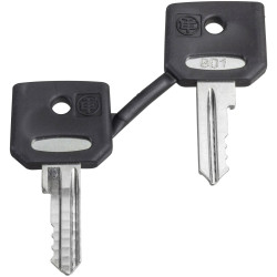 Schneider Electric ZBD8D1 spare key for key Switch pack of 2 1pc