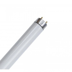 Świetlówka liniowa T8 18W/865 Bellight / 25 sztuk /