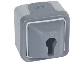 PLEXO55 Wyłącznik na klucz szary (komplet bez wkładki) 069706 LEGRAND
