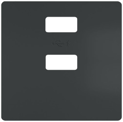 Płyta przednia 1-pinowe USB