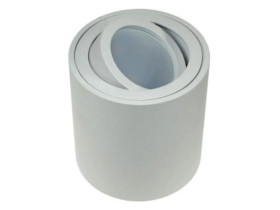 Oprawa sufitowa Febe White ruchoma okrągła alumini