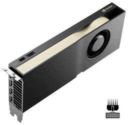 Nvidia Karta graficzna Nvidia RTX PRO 4500 Blackwell 32 GB GDDR7 RAM PCIe x16 DisplayPort