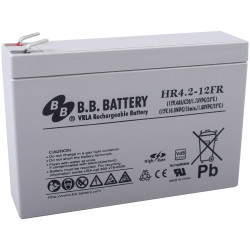 SSB Electronic 149456 VRLA Battery 12V 4.5Ah AGM 38x100x140mm