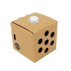 Google AIY Voice Kit v2