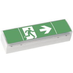 CEAG 40071354775 LED Escape Route Light Ceiling/Wall Mounting Options