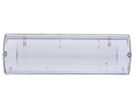 Oprawa ECONOMIC LED 2W 1h jednozadaniowa PT ECL/2W/E/1/SE/PT/CL