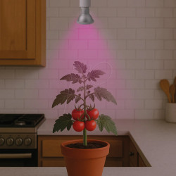 E501 030 LED plant lamp E27, 7 W, Cultura, Grow Light Indoor Plants