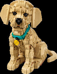 11384 LEGO® Icons - Golden Retriever puppy