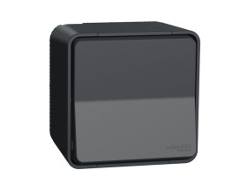 MUREVA STYL Wyłącznik pojedynczy 2-biegunowy IP55 antracyt MUR35033 SCHNEIDER ELECTRIC