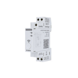 Programator astronomiczny z WiFi jednokanałowy 48-240V AC/DC na szynę A26-RS-WIFI2 Bemko