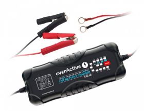 LAD.EVERACTIVE CBC-10 DO AKUM.12V/24V
