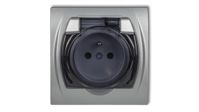 Logo Gniazdo Bryzgoszczelne Z/U (Klapka Dymna) Srebrny Metalik 7Lgpb-1Zdp