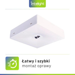 Oprawa sieciowo-awaryjna natynkowa STARLET QUAD SC 150 M 3H MT / 92914