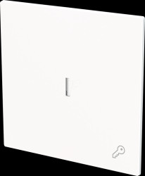 1789 TR-44G Rocker with "key" symbol with transparent dome