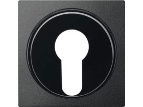 MERTEN Płytka czołowa System M wyłącznika na klucz dwupołożeniowy antracytowy MTN318114 SCHNEIDER ELECTRIC